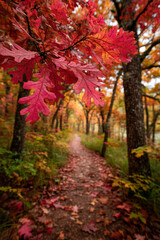 Obraz premium Confident Woman with a Bright Smile