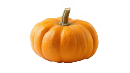 Vibrant pumpkin with strong stem, created with AI, PNG