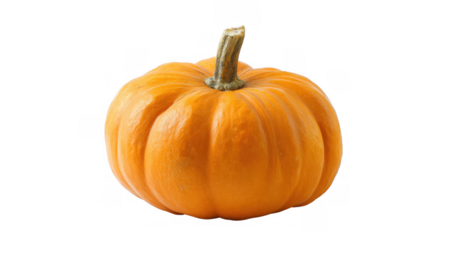 Vibrant pumpkin with strong stem, created with AI, PNG