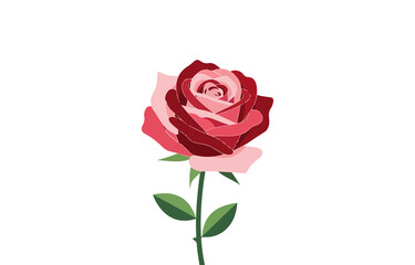 Fototapeta premium Beautifully detailed red and pink rose with green stem isolated on transparent background