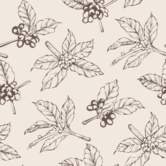 Vintage coffee plant pattern with leaves, flowers, and coffee cherries in two-color hand-drawn style