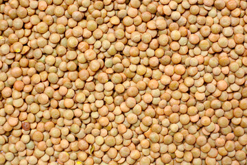 Lentils are small brown legumes rich in protein and fiber