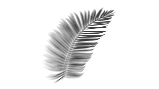 funereal gallery 3d motion schene theme 