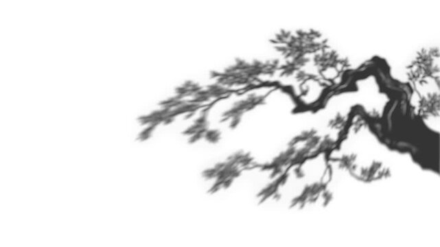 funereal gallery 3d motion schene theme 