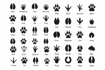 Silhouettes of animal footprints – black vector tracks of birds, reptiles, and mammals. includes paw prints, hoof marks, and steps from wolf, duck, frog design.