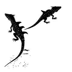 Black silhouette of lizards on white background.