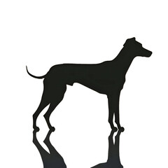 Obraz premium Black silhouette of a dog on light background.