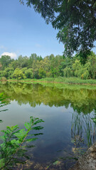 Summer river landscape with green trees, reflections and blue sky. Tourism
