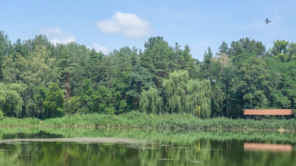 Summer river landscape with green trees, reflections and blue sky. Tourism