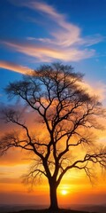 Obraz premium Branches of isolated tree against sky at sunset