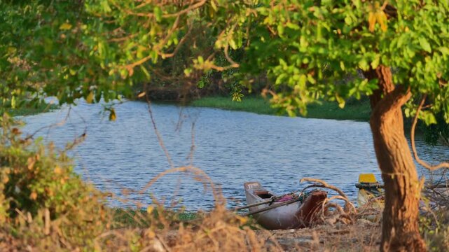 Beached fishing boats sit near a riverbank with paddles and gear visible along the edge. The scene is lit by golden hour and surrounded by green foliage and tranquil water.