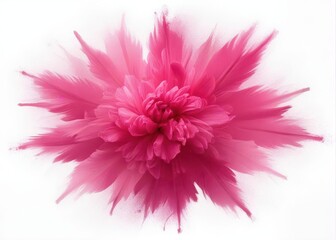 Pink powder explosion isolated on white