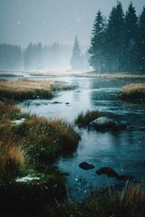Fototapeta premium Misty stream flowing through a wintry meadow