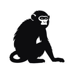 Obraz premium Black silhouette, tattoo of a monkey, chimpanzee on white isolated background. Vector.