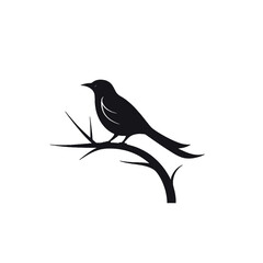Obraz premium Black silhouette, tattoo of a bird on a branch on white isolated background. Vector.
