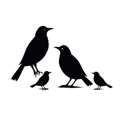 Obraz premium Black silhouette, tattoo of birds on white isolated background. Vector.