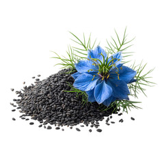 Black cumin seeds with nigella sativa flower isolated on transparent background.