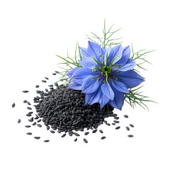 Black cumin seeds with nigella sativa flower isolated on transparent background.