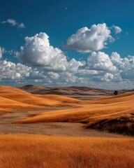 Obraz premium Golden hills under a vibrant blue sky. Vast, rolling, ochre-toned hills stretch into the distance under a cerulean sky dotted with puffy white clouds. Sunlight bathes the landscape in warm hues