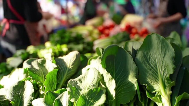 Fresh Bok Choy at Outdoor Market