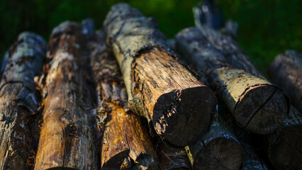 stack of firewood