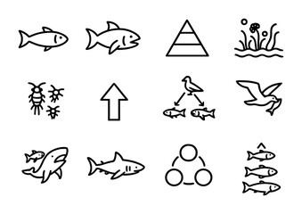 Ocean Food Chain Icons. Outline icon set of ocean food chains: small fish, predator icon, food pyramid, algae