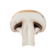 Fototapeta premium Fresh White Mushrooms for Cooking