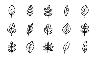Fototapeta premium Collection of hand drawn leaves vector illustration, botanical doodle leaf sketch, nature foliage drawing set