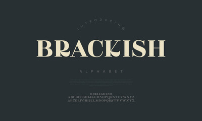 Brackish Alphabet Elegant Serif Typeface for Modern Branding