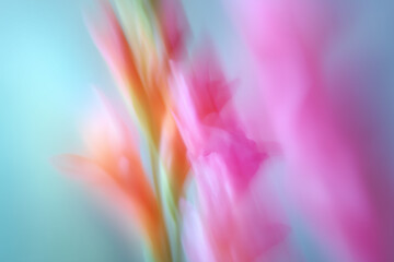 Dream abstract motion blurry vibrant flower posters,summer blossom flower iridescent background