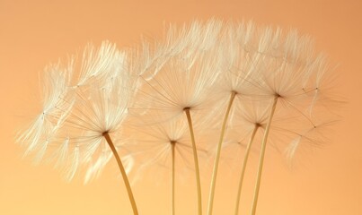 Captivating close-up of delicate dandelion fluff against a soft background, embodying minimalism and the fragile beauty of nature, Generative AI