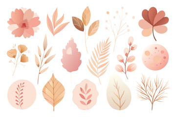 Obraz premium Elegant collection of botanical floral elements with minimalist designs and warm earthy color palettes.