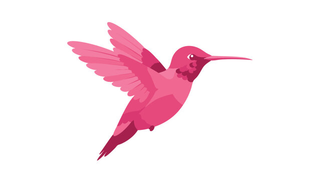 Vibrant pink hummingbird in flight. Stylized vector illustration of a tropical colibri with magenta plumage, isolated on a white background. fard (24).eps