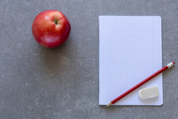 One apple and stationery on gray background, back to school
