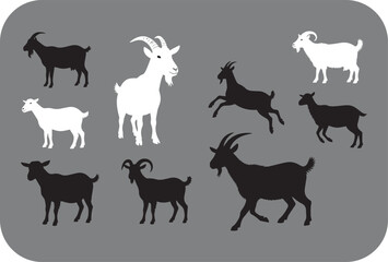 Collection of diverse goat silhouettes in various poses and colors including black and white showcasing farm animals and livestock in a simple graphic design