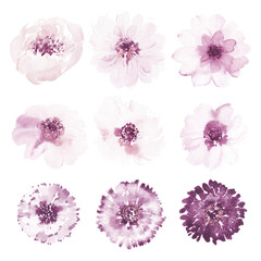 Watercolor Floral Elements Pink and Purple Blooms