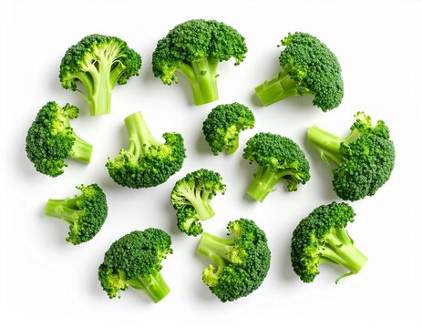 Fresh green broccoli florets scattered on a clean white background, top view.