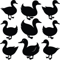 Fototapeta premium Black Duck Silhouettes: Vector Graphic of Waterfowl, Bird Illustration, Animal Clip Art