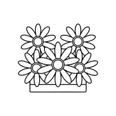 Vector art of outline drawing of a cluster of daisies isolated on white background