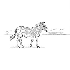 Obraz premium Black and White Zebra Vector Illustration