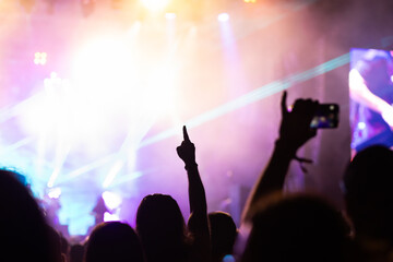 crowd having fun at concert summer music festival