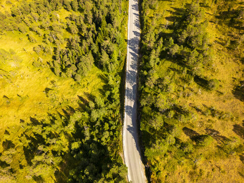 Aerial view of a winding road cutting through dense, vibrant forests where the sun casts long shadows, creating a striking contrast of light and dark, Utvik, Vestland, Norway.