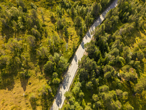 Aerial view of a winding road cutting through a dense forest, the sun casting golden light on the trees, contrasting with the cool shadows, Utvik, Vestland, Norway.