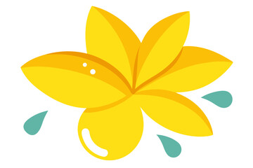 Yellow Frangipani with Water Droplets on White Background