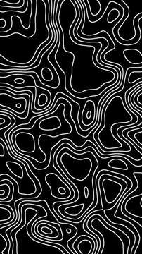 black and white seamless pattern