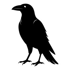 Obraz premium Silhouette of a black crow standing on a white background