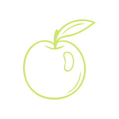Apple in outline style on white background, fresh apple healthy fruit isolated icon