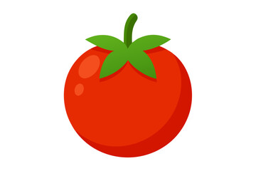 tomato vector illustration, tomato isolated
