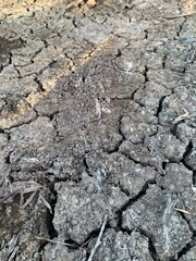 Close up of dry soil texture background. Nature and environment concept.