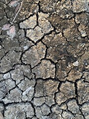 Close up of dry soil texture background. Nature and environment concept.